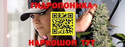 apvp Мариинск