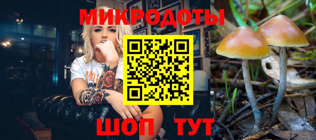 Псилоцибиновые грибы Cubensis  Вход с VPN  Галлюциногенные грибы Psilocybe  Тобольск 