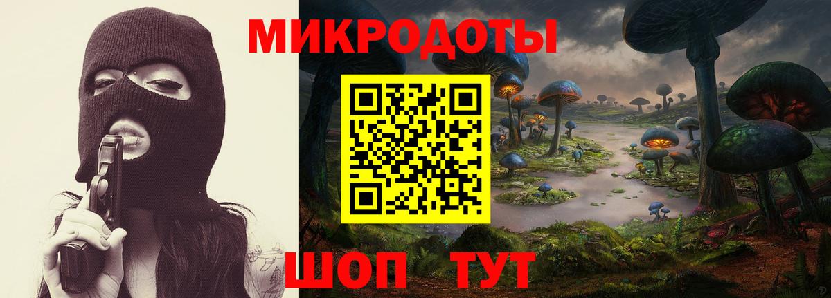 Галлюциногенные грибы мухоморы Тобольск